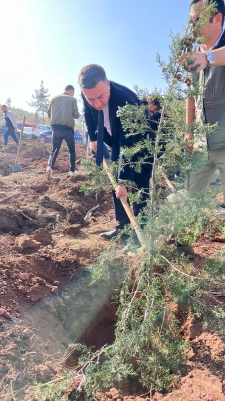 İlçemizde “Milli Ağaçlandırma Günü" nedeniyle düzenlenen programda yüzlerce fidan toprakla buluşturuldu